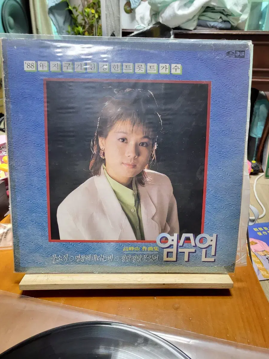 염수연 LP