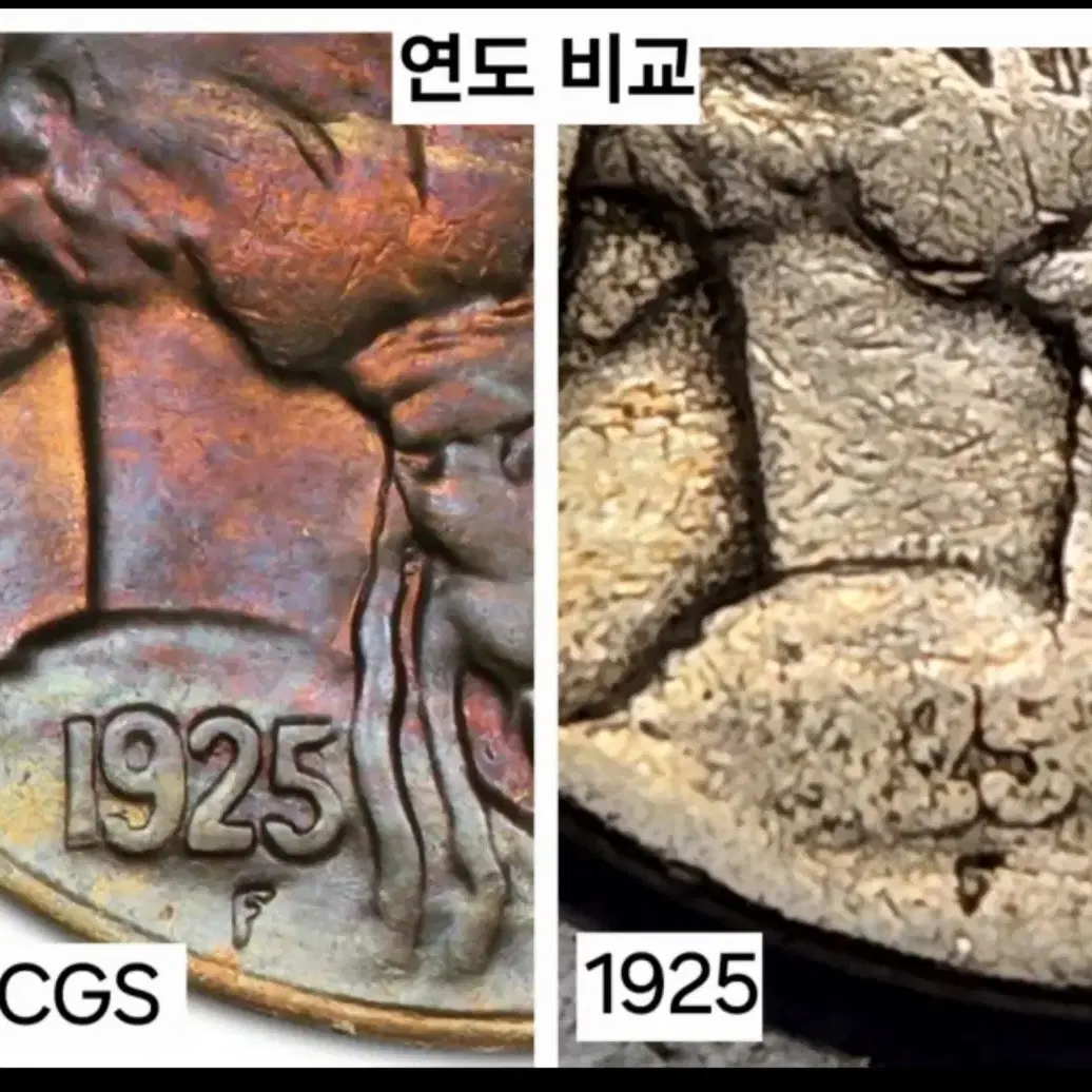 새해맞이 100년 동전 빈티지 미국주화 버펄로 니켈 1925