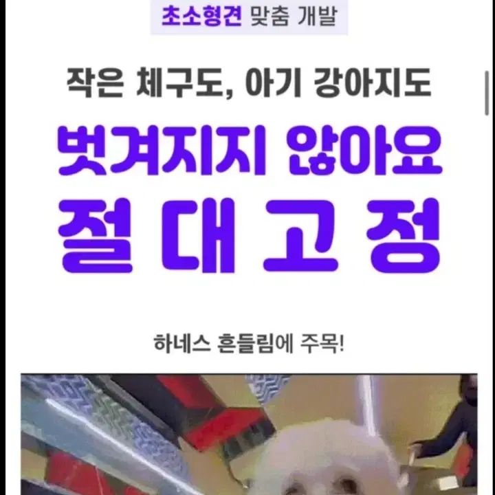 하르나르 하네스예요~!!