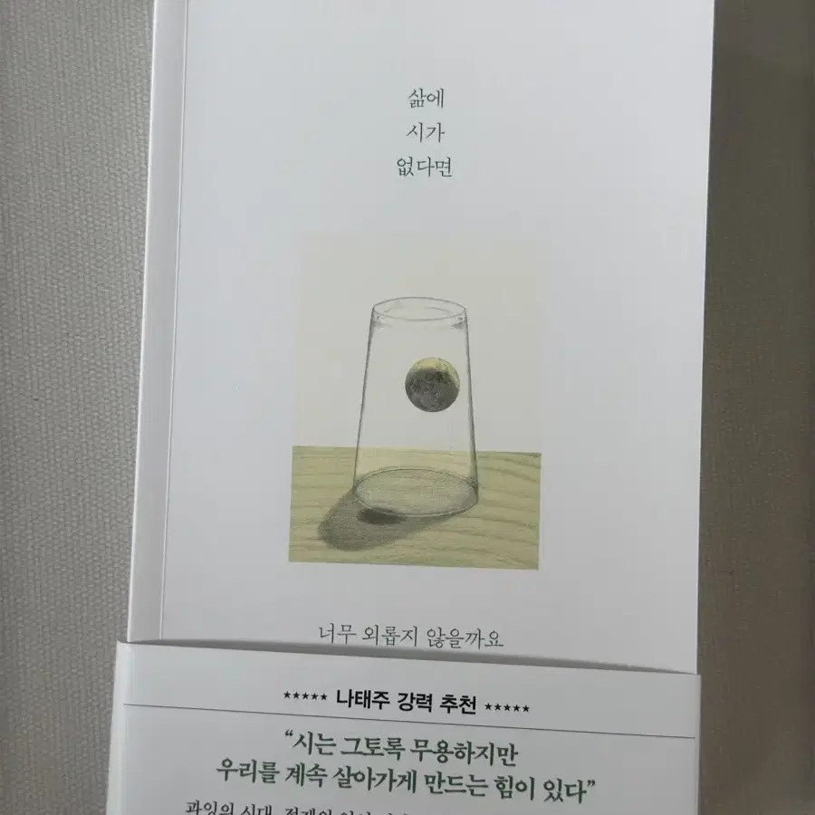 신간 [삶에 시가 없다면 너무 외롭지 않을까요]