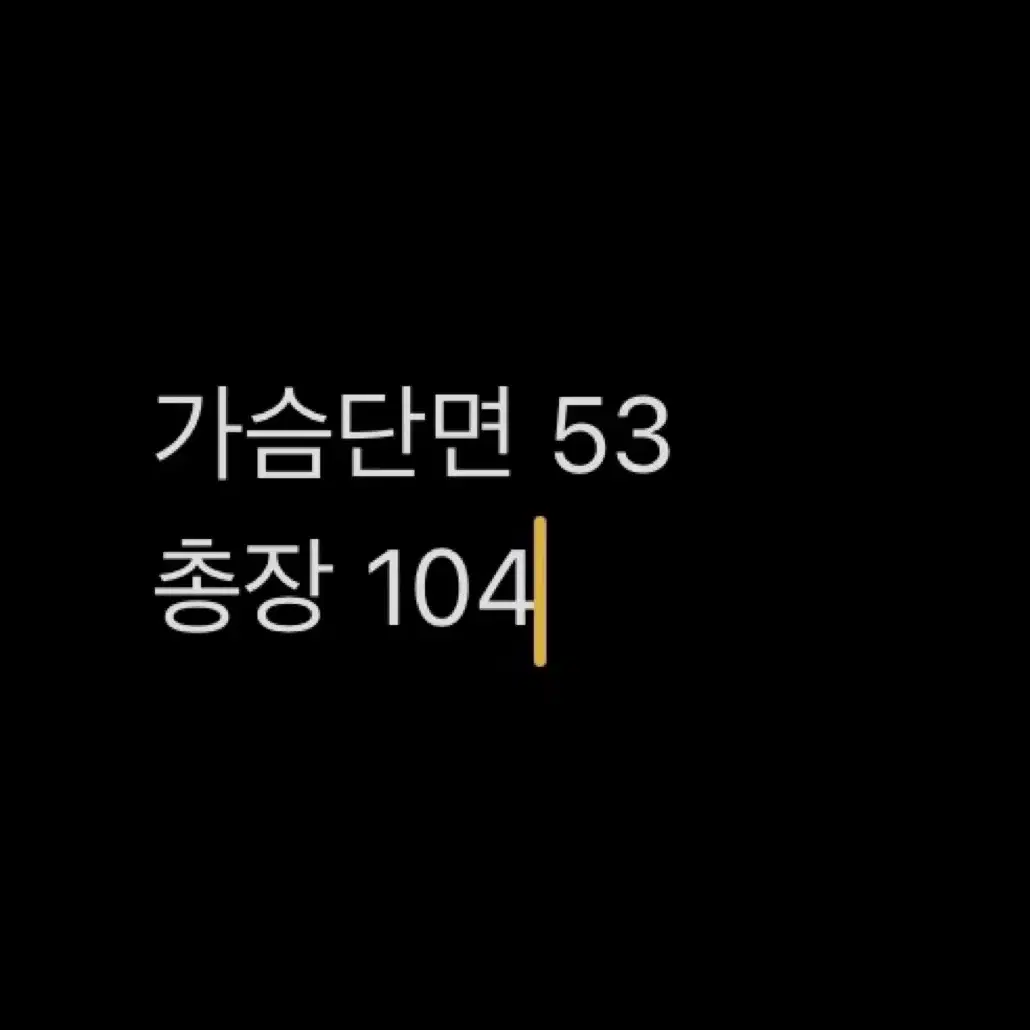 노스페이스 여성 롱패딩 100