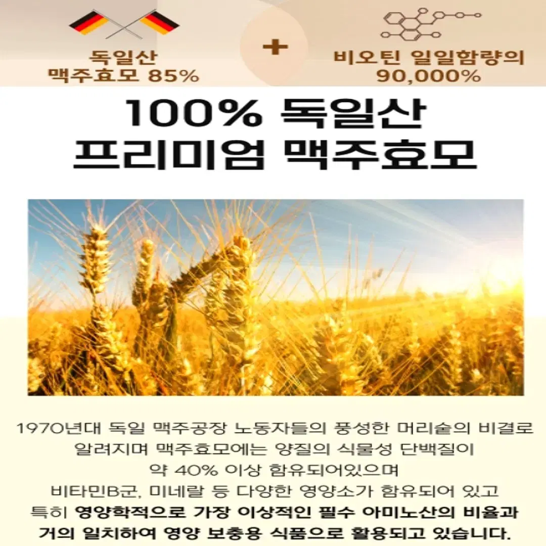 [2개월]빈틈없는 풍성한배합 맥주효모 비오틴 검정콩 어성초 골드 60정