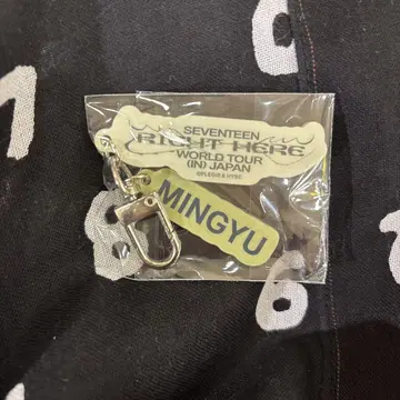 SEVENTEENRIGHT HERE JAPAN 캡슐 토이 민규