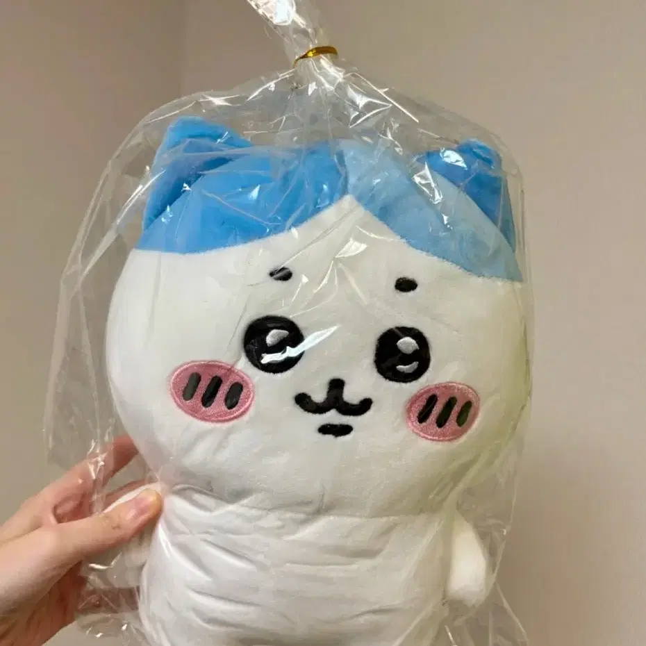 하치와레 25cm 인형