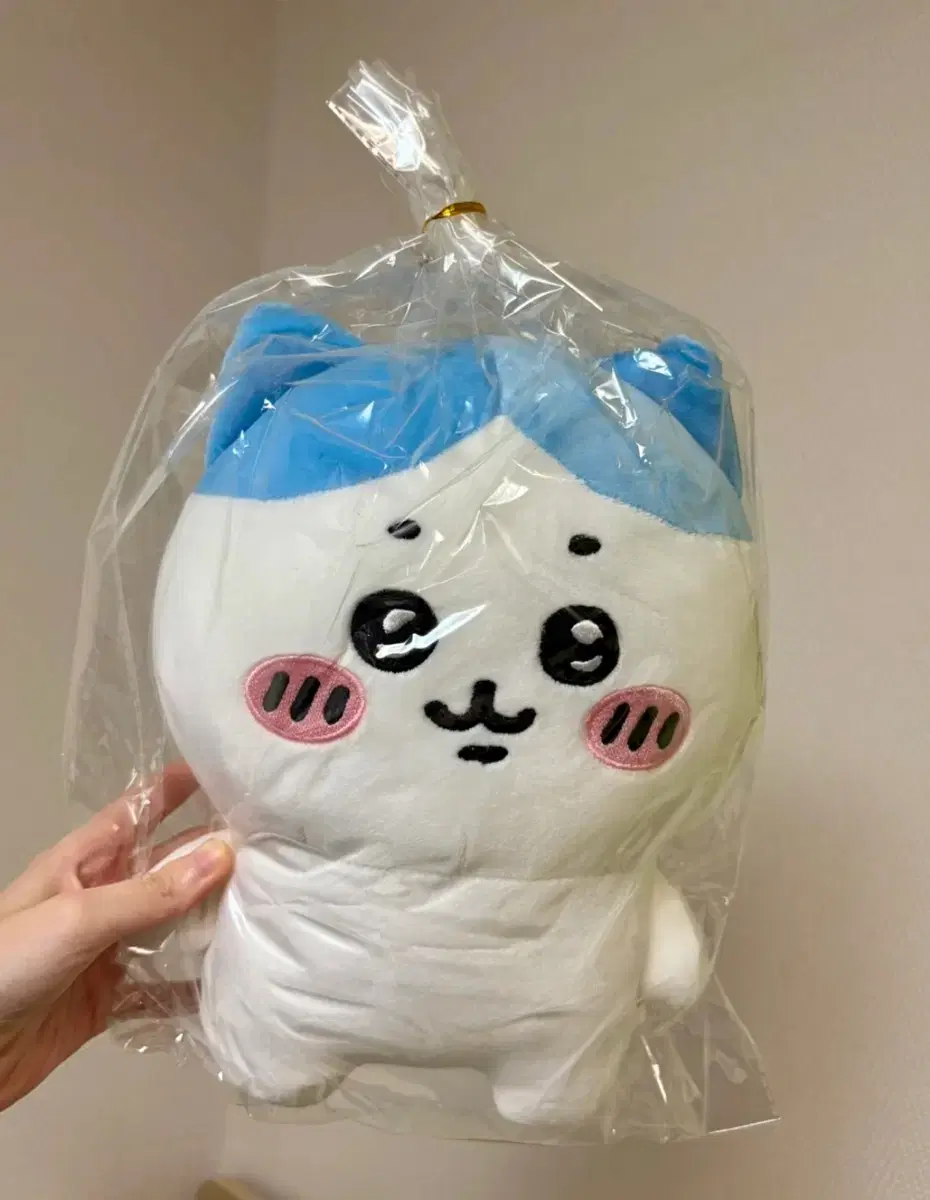 하치와레 25cm 인형