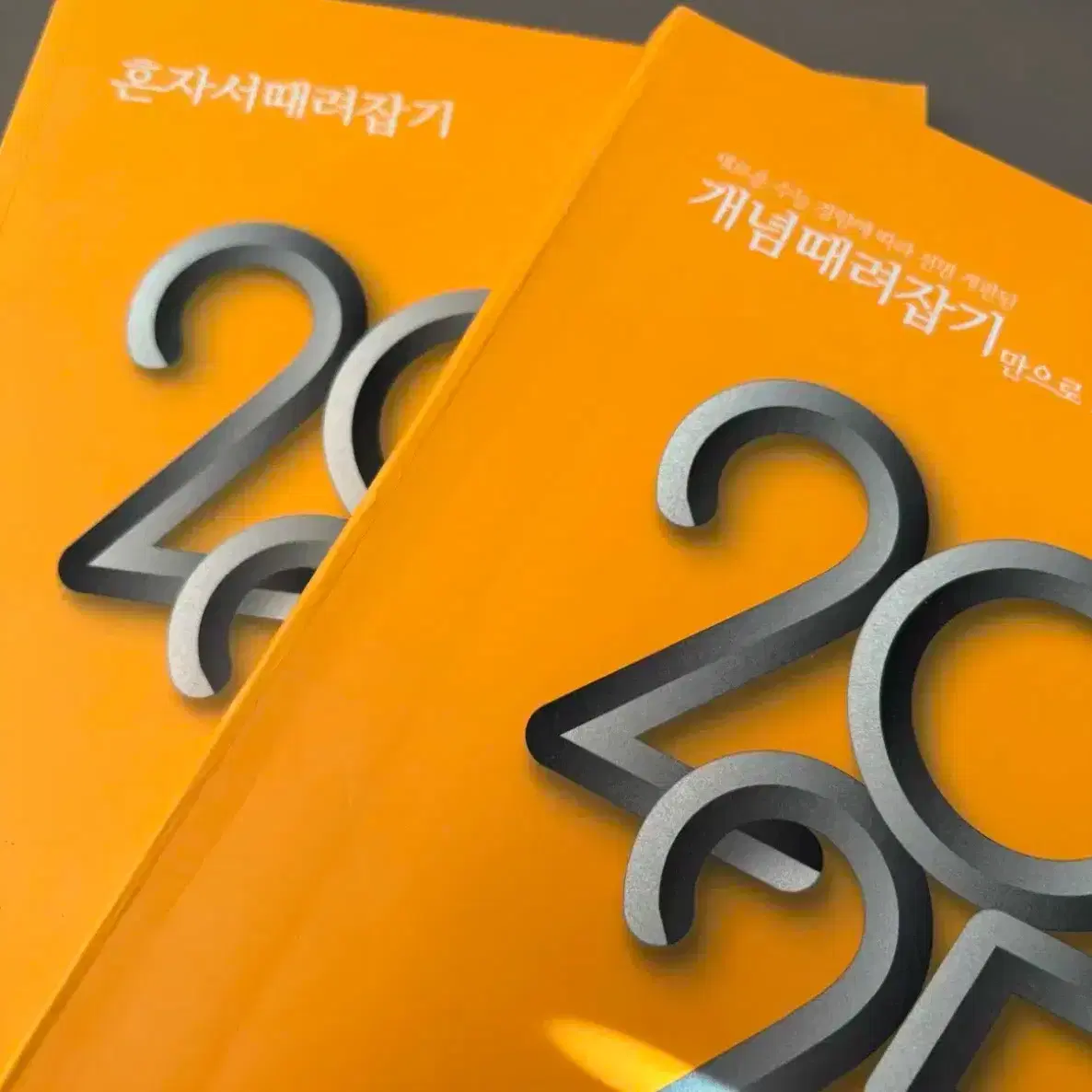 정승제 개때잡 2025 혼때잡 수2