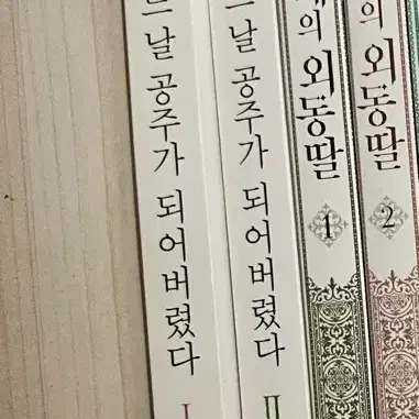 어느날 공주가 되어버렸다 1권,2권 단행본