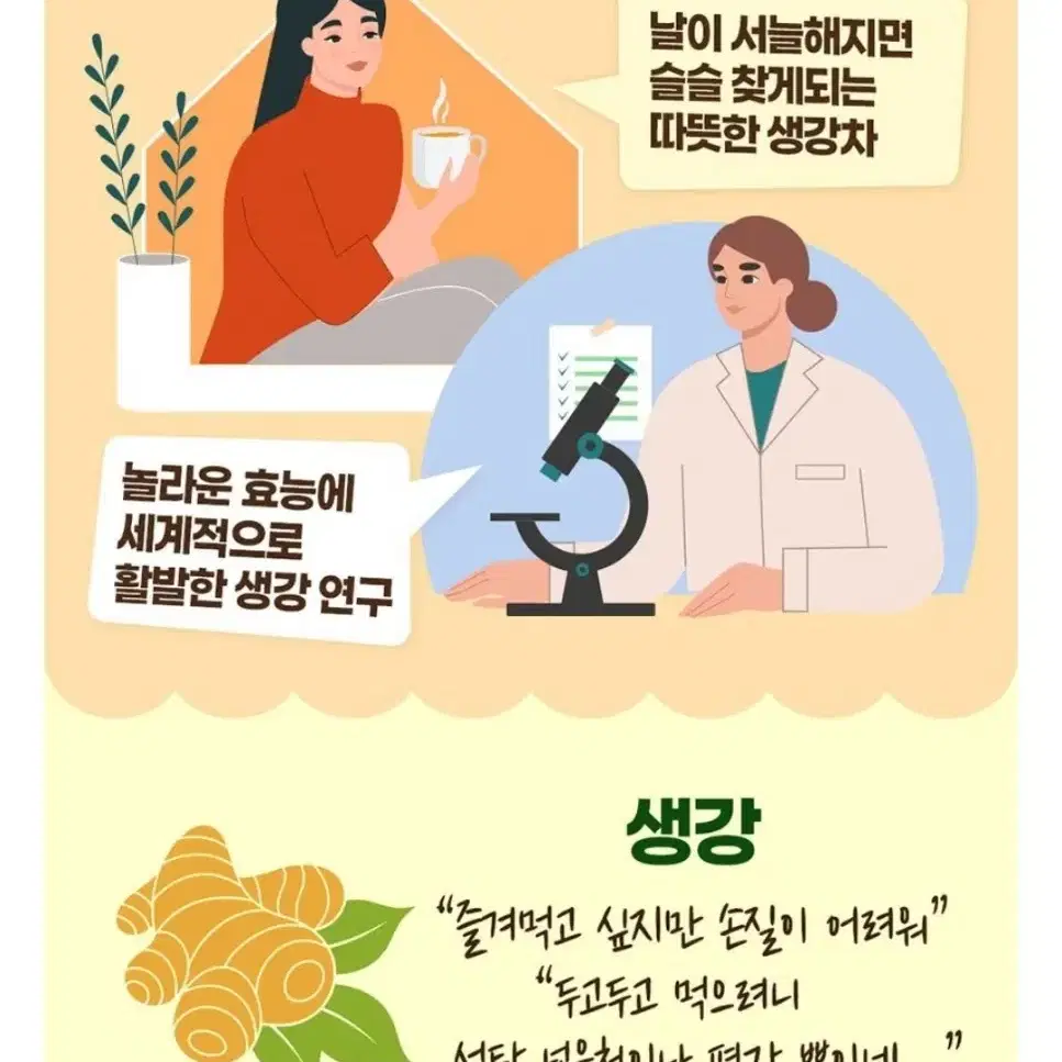 홀베리 유기농 레몬생강즙