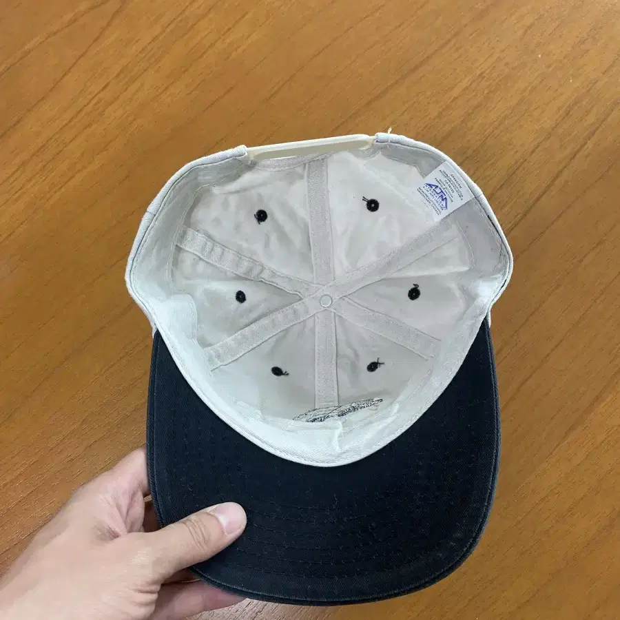 Fish Vintage Cap