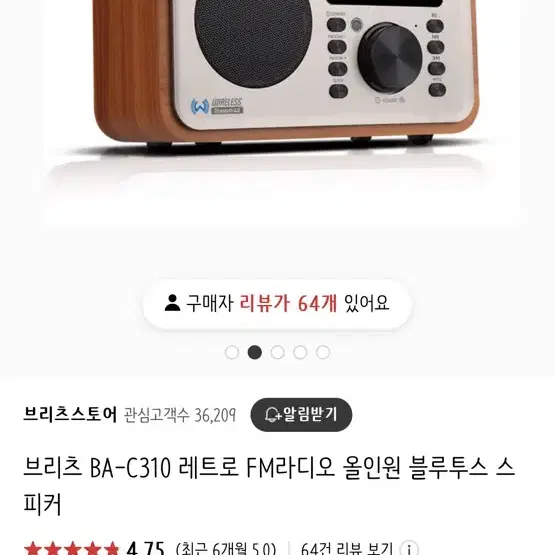 브리츠 BA-C310 블루투스 라디오 스피커