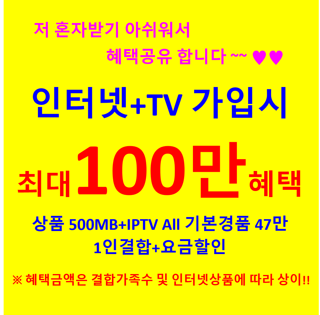 인터넷+TV