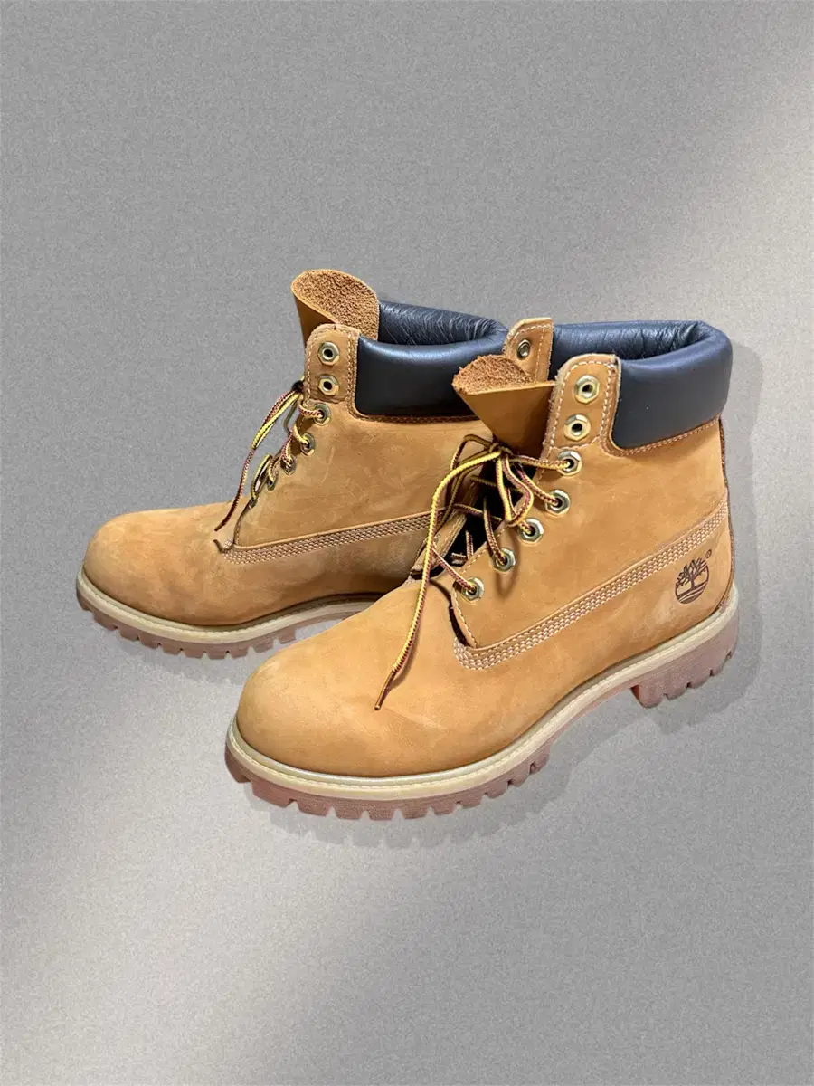 TIMBERLAND