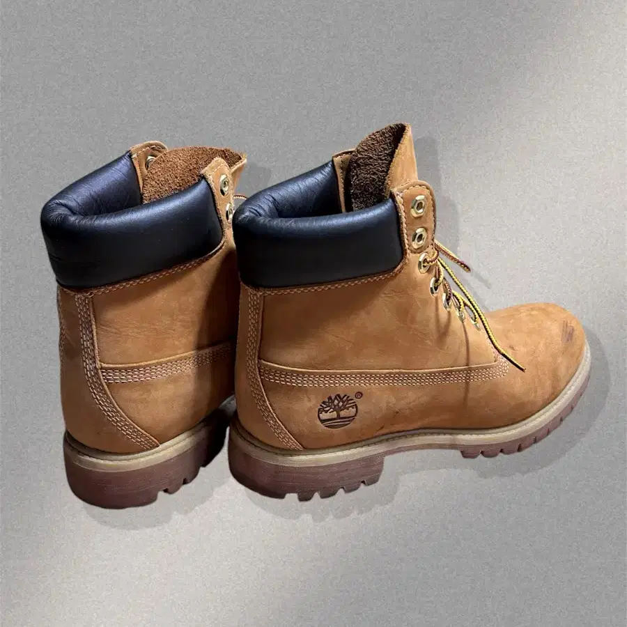 TIMBERLAND