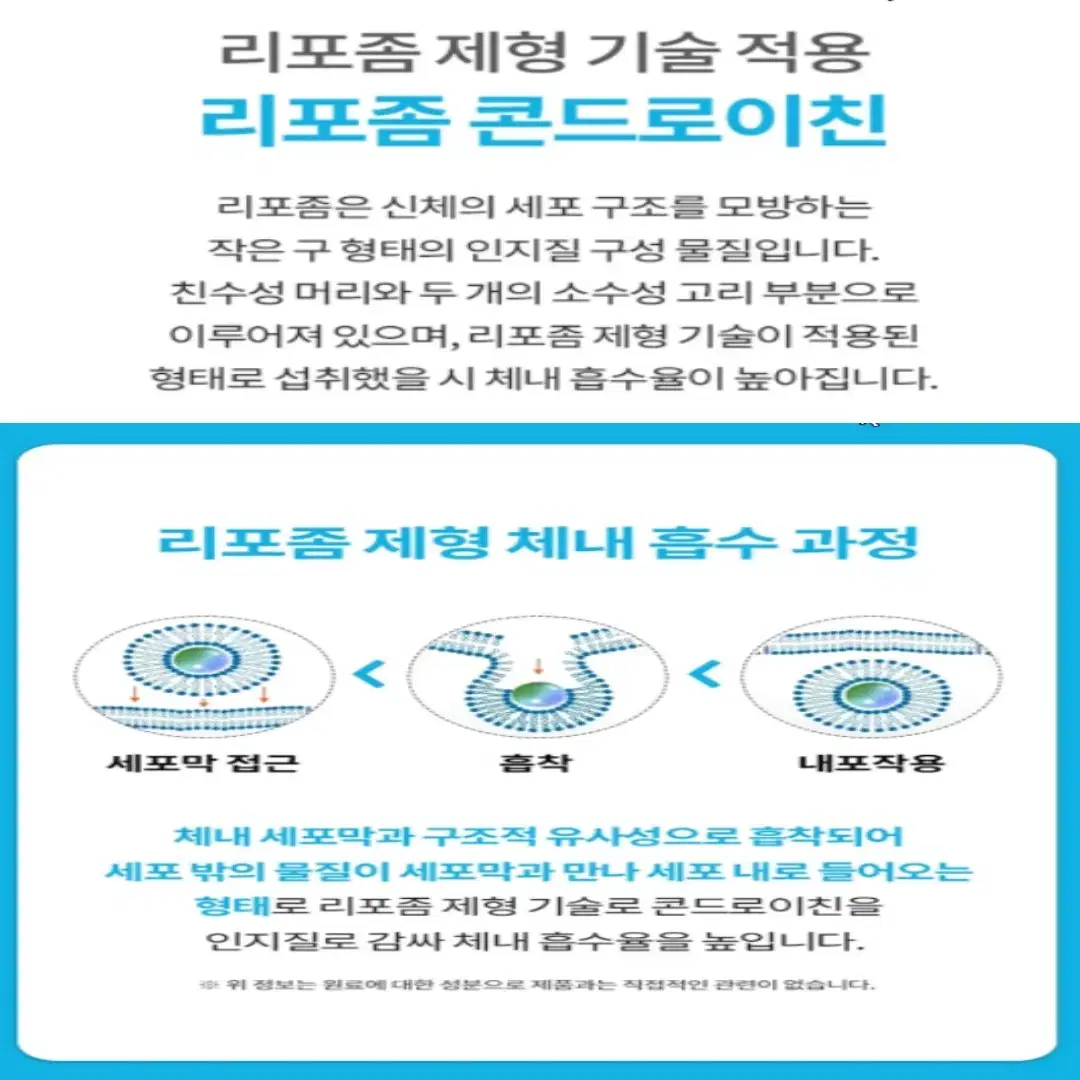 [4개월]상어연골 흡수업 리포좀 콘드로이친 1000mg 대용량 120정