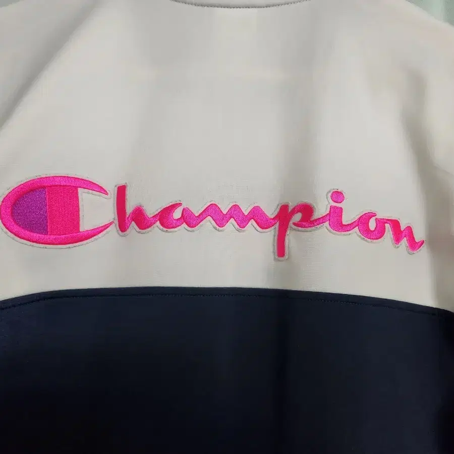 champion 챔피온 져지 L사이즈