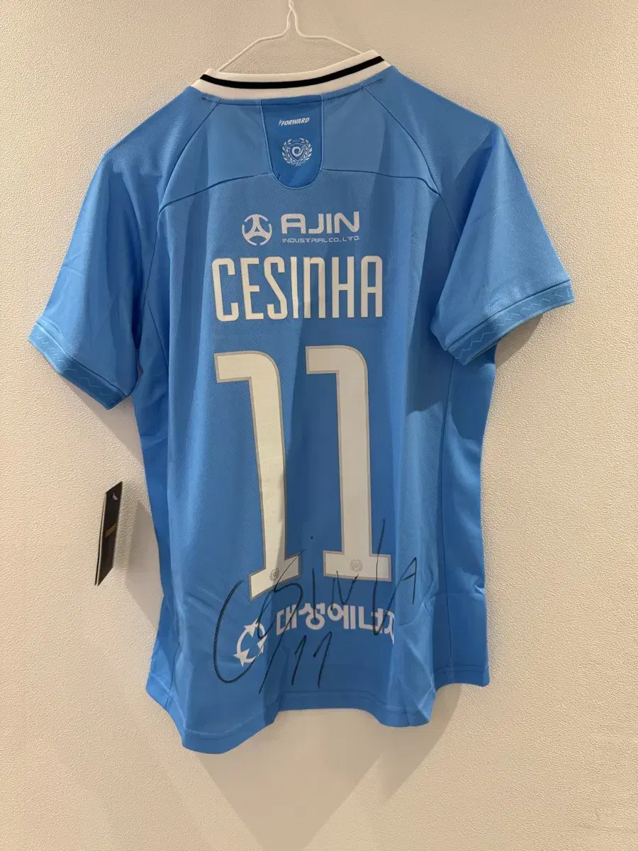 [New Product] Daegu FC Sejingya Signature Jersey