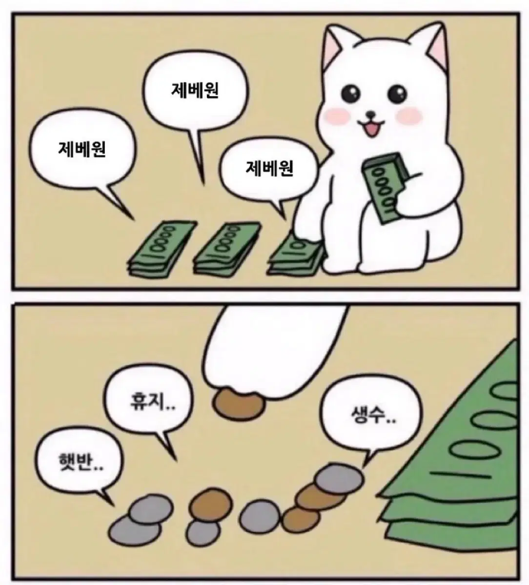 제베원 비공굿 전체 일괄 판매