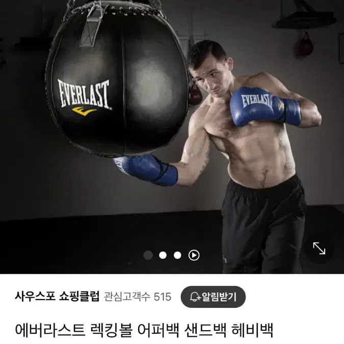 에버라스트 샌드백 헤비백