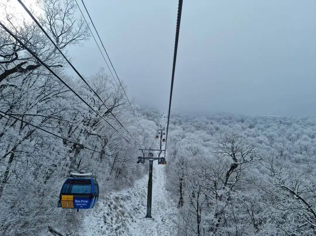 [용평 1.5만원/하이원 5천원] 케이블카 관광곤돌라 왕복권