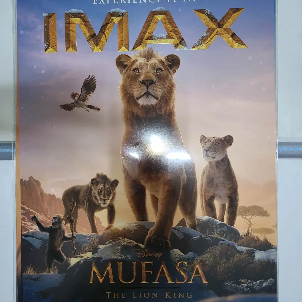 CGV TTT + IMAX 포스터 - 무파사: 라이온킹