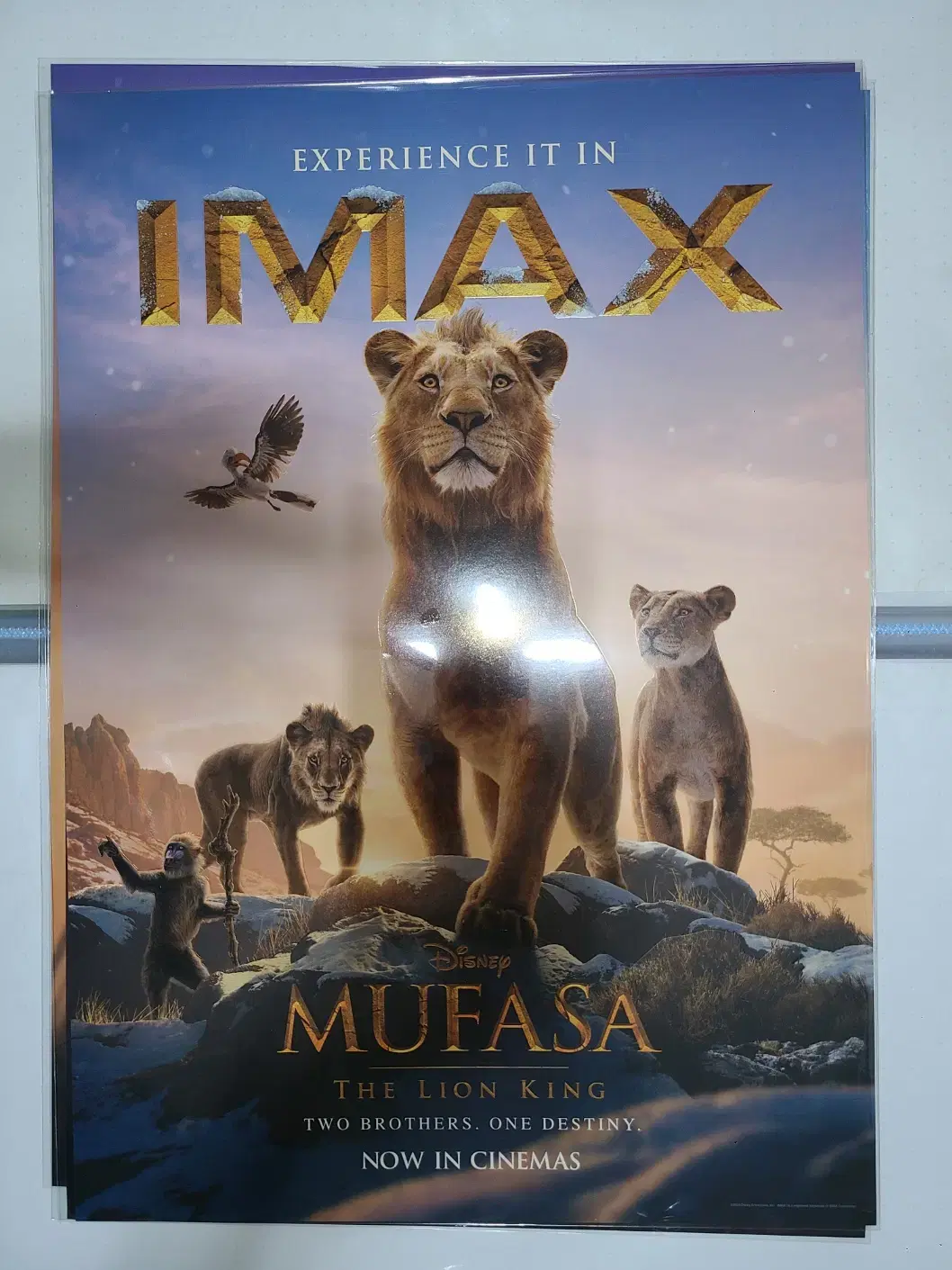 CGV TTT + IMAX 포스터 - 무파사: 라이온킹