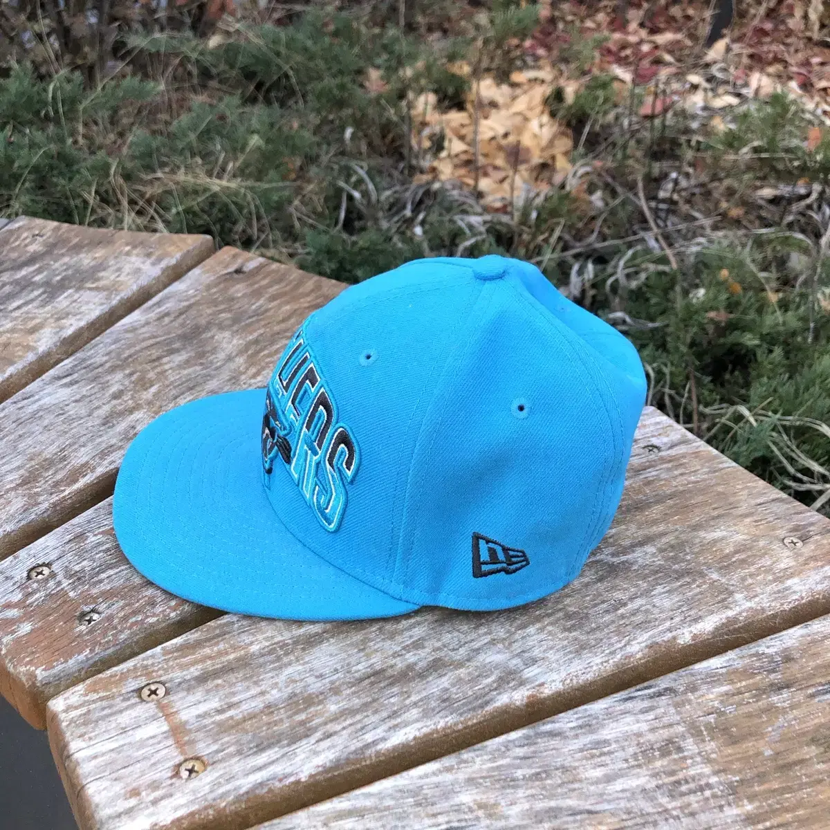 Vintage New era panthers soda snap bac