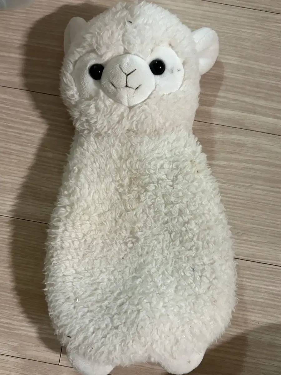 Alpaca Pencil Case