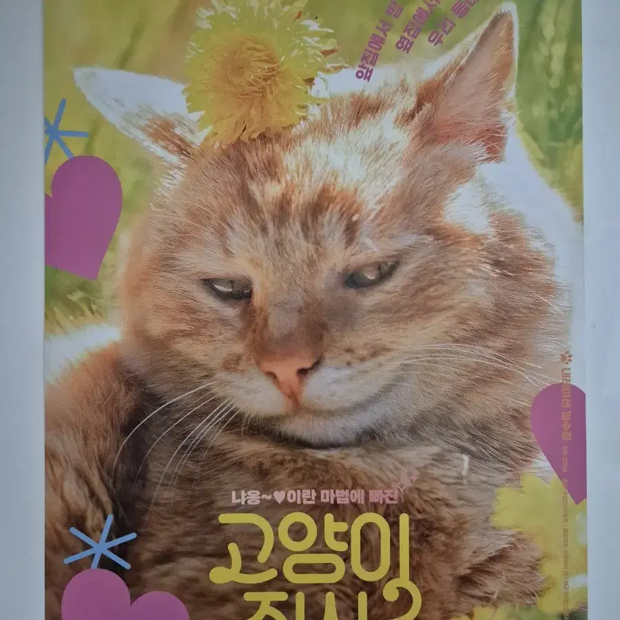 영화 고양이 집사 전단지