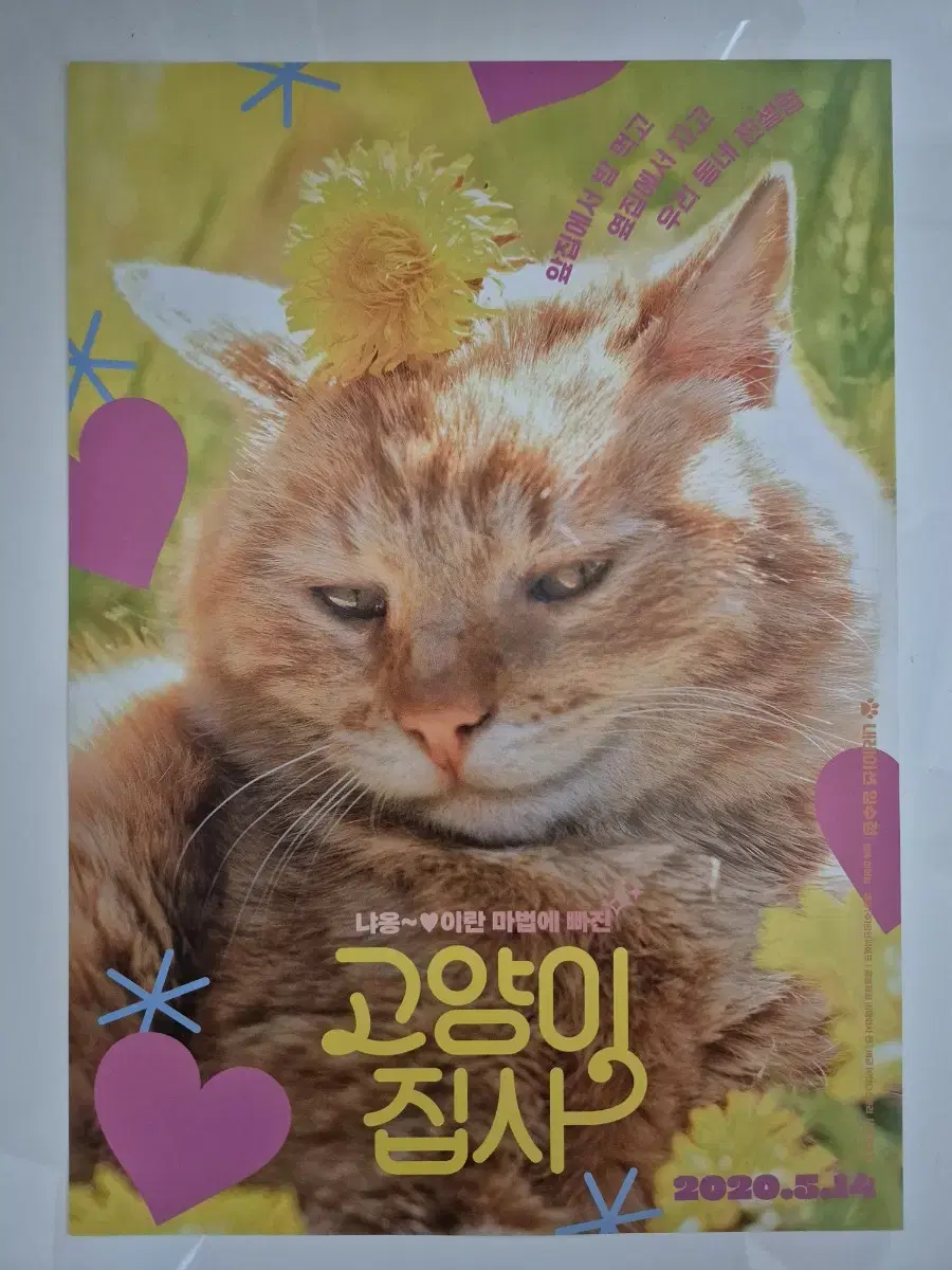 영화 고양이 집사 전단지