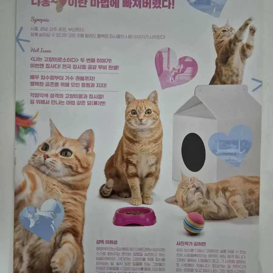 영화 고양이 집사 전단지