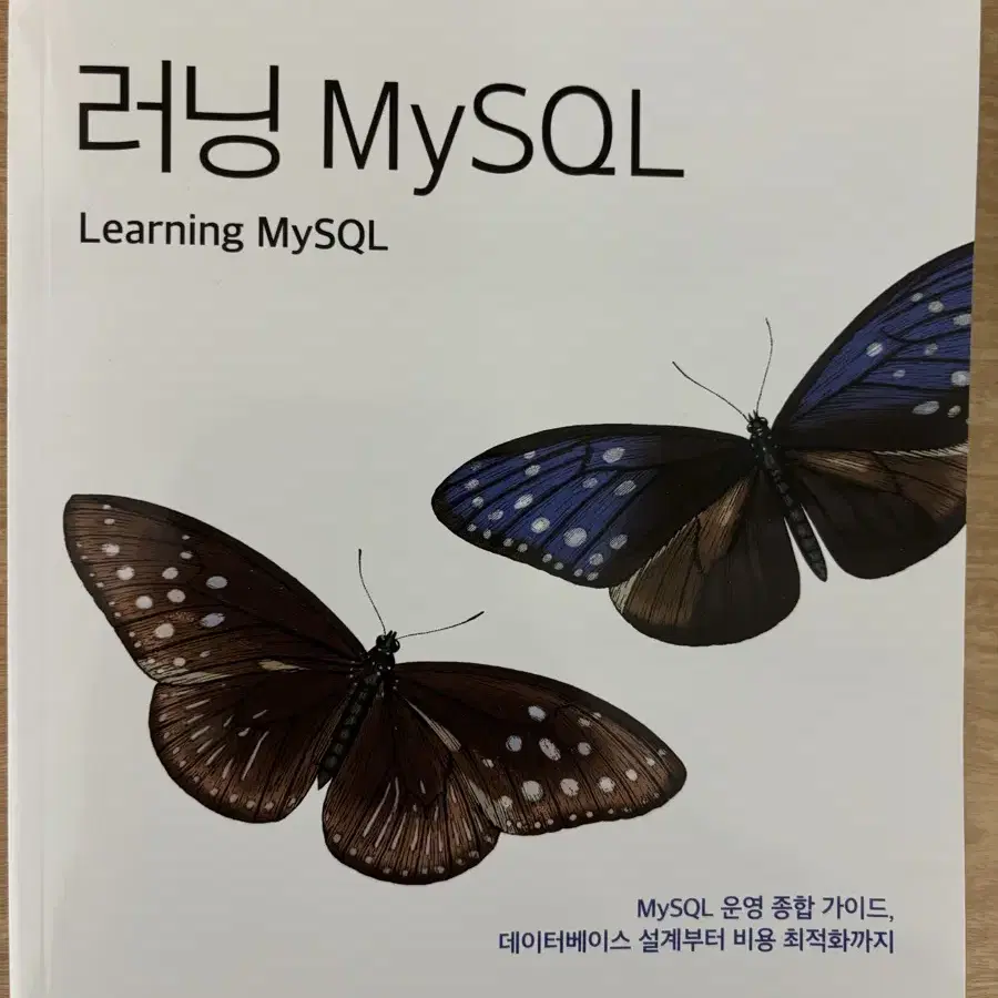 러닝 my sql