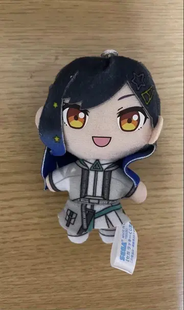 프로세카 시로이시 안코 MEIKO 누이