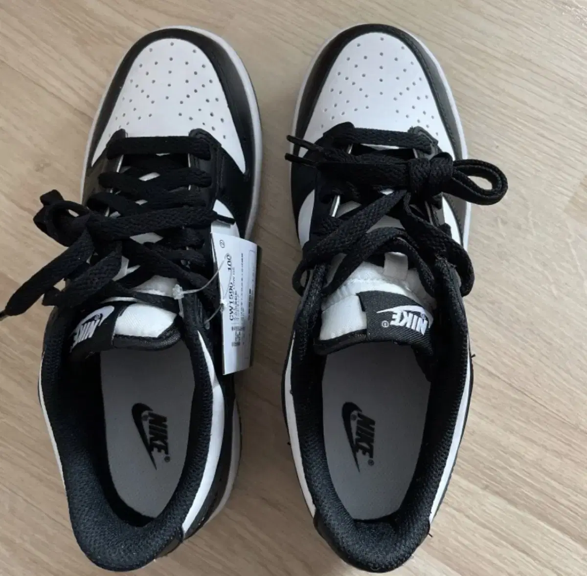 Nike Killer Whale Dunk Low (Big Kids) (CW1590-100)