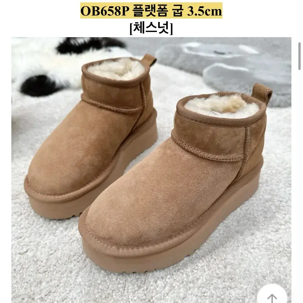 호주 어그 플랫폼 4cm 235 새상품