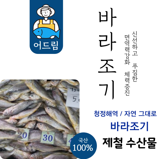 남해안 바라조기, 면역력 강화와 피로 회복!