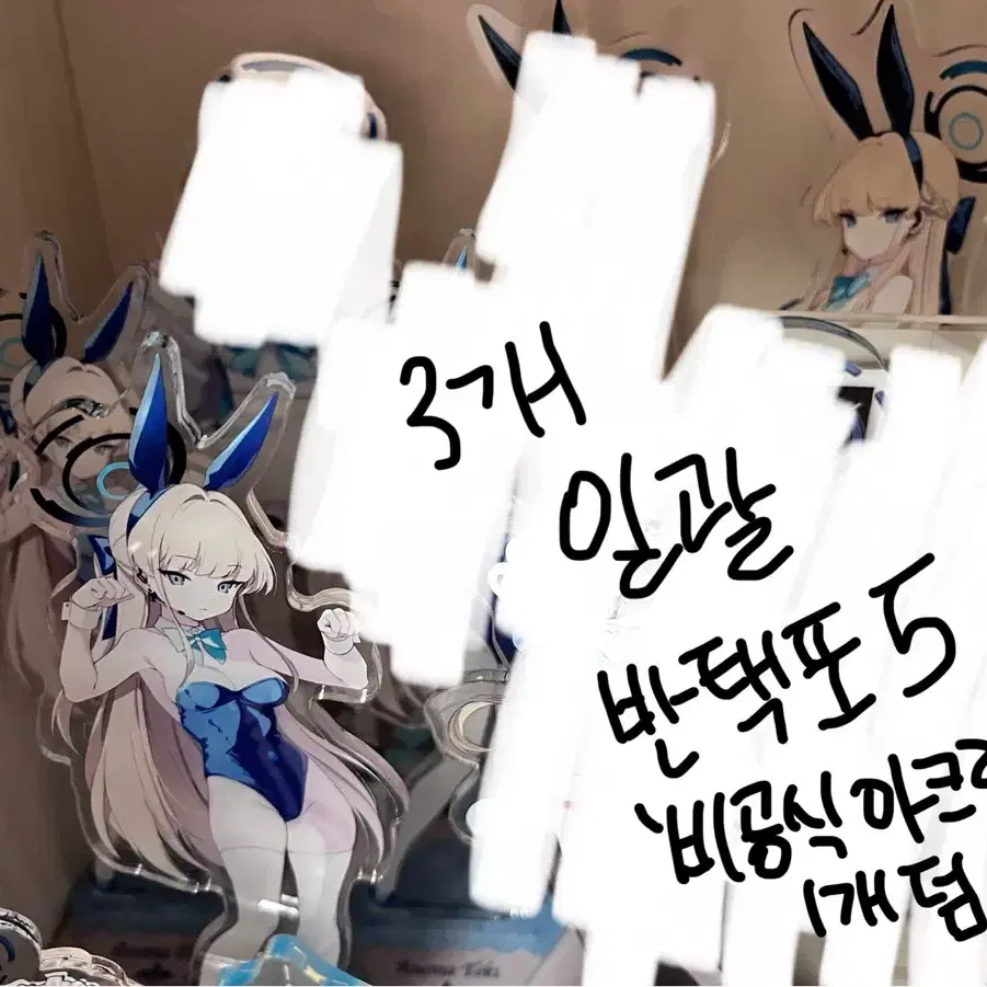 (3개일괄) 블루아카 아스마 토키 바니걸 공식 아크릴 스탠드