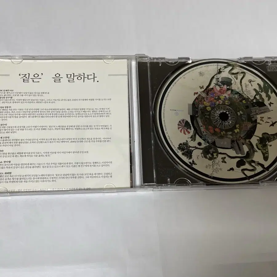 배포) 짙은 cd