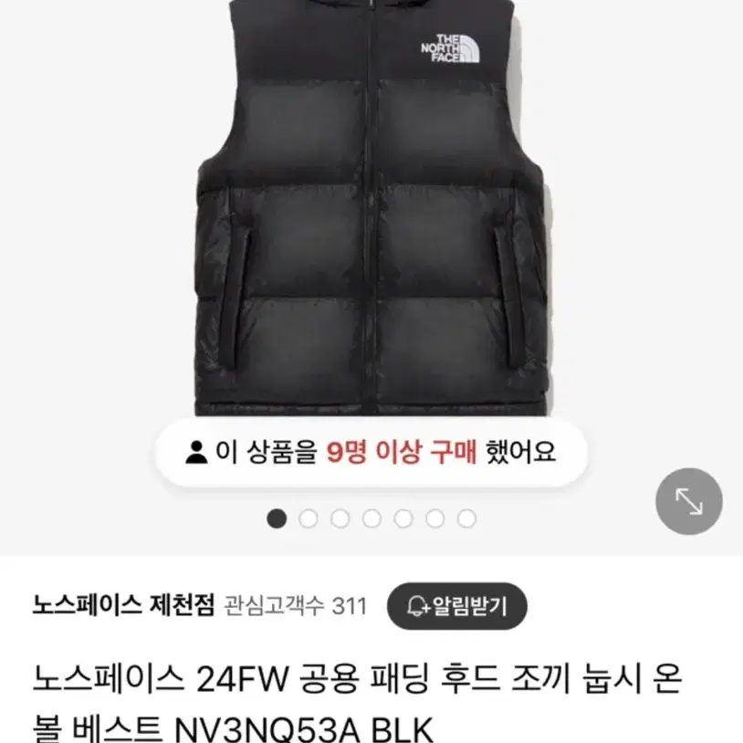 노스페이스 패딩조끼