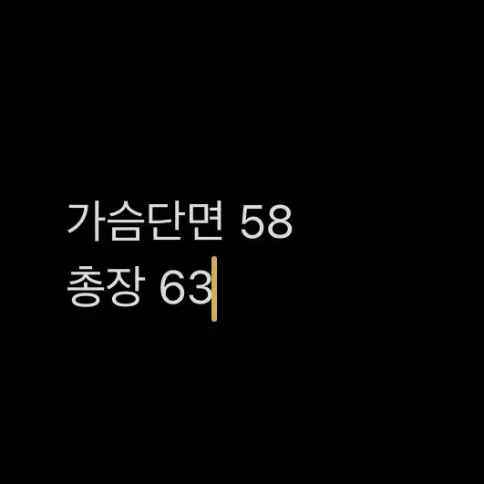 [ 정품/M,95 ] 롯데자이언츠 아노락 바람막이 야구 유니폼