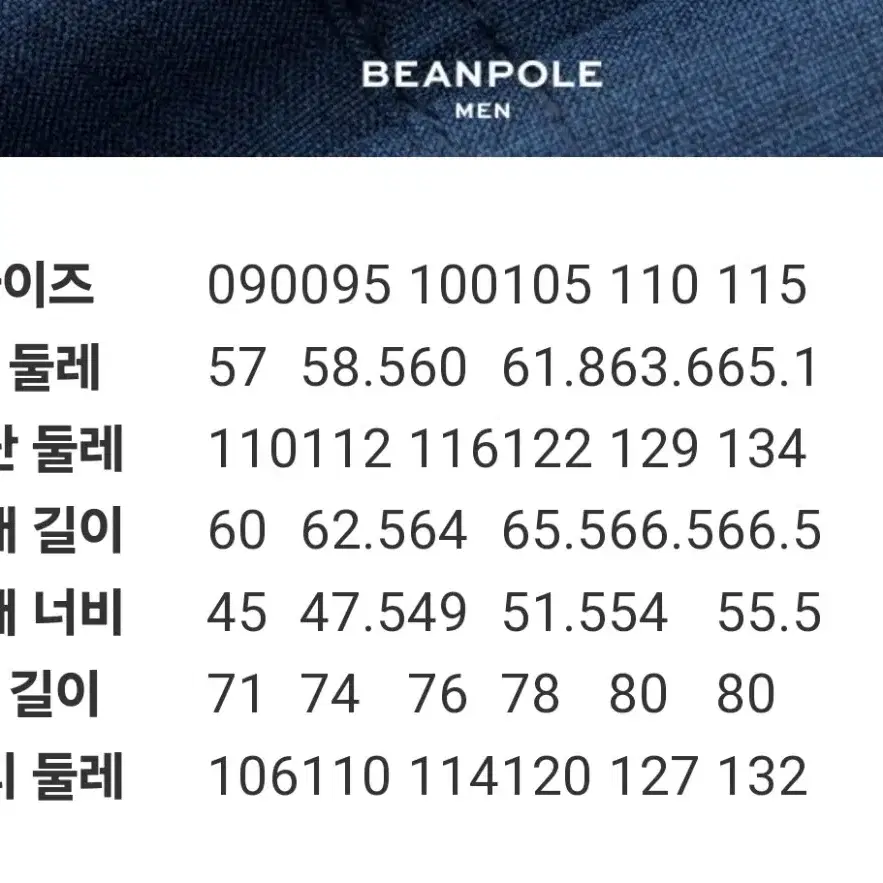 빈폴 덕다운 패딩 팝니다 100