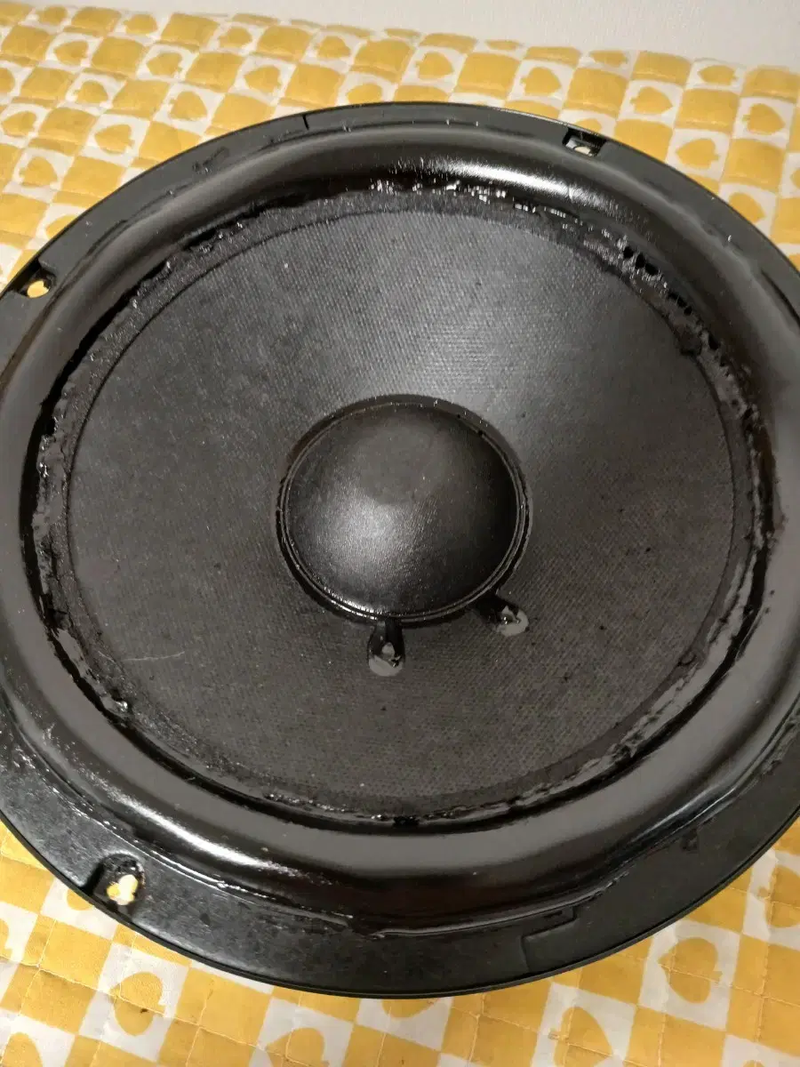 Speaker8 inch unit