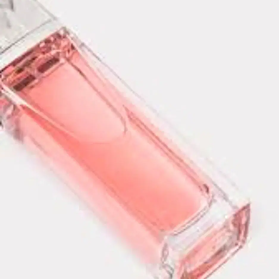 향수 Dior Addit Roller Perfume 100ml 정품