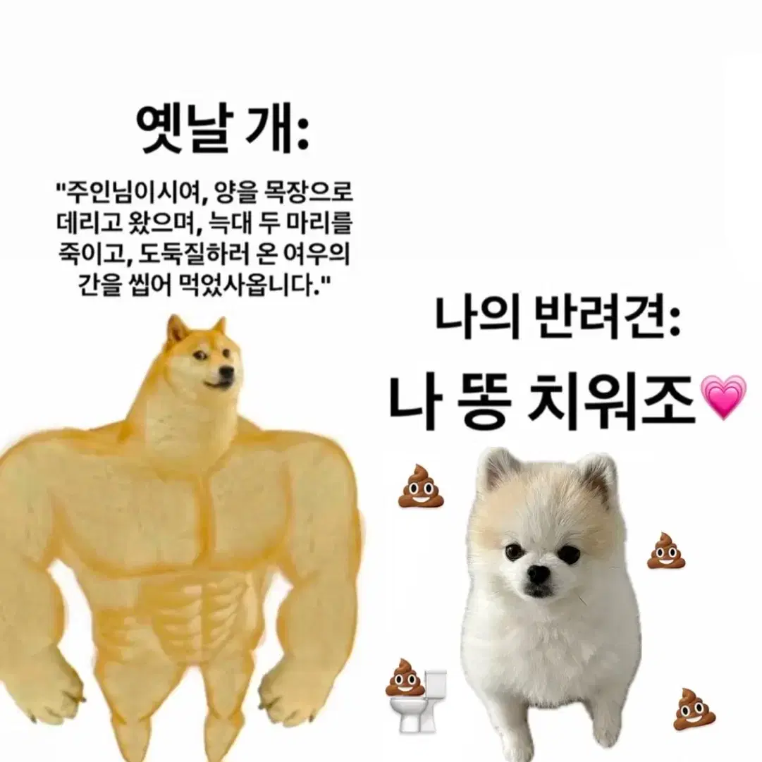 아보카도 베비 팔아유