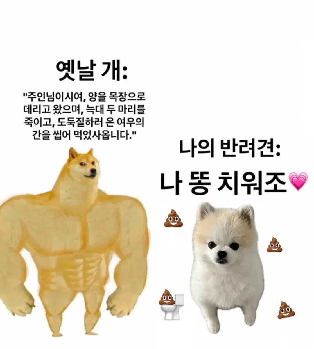 아보카도 베비 팔아유