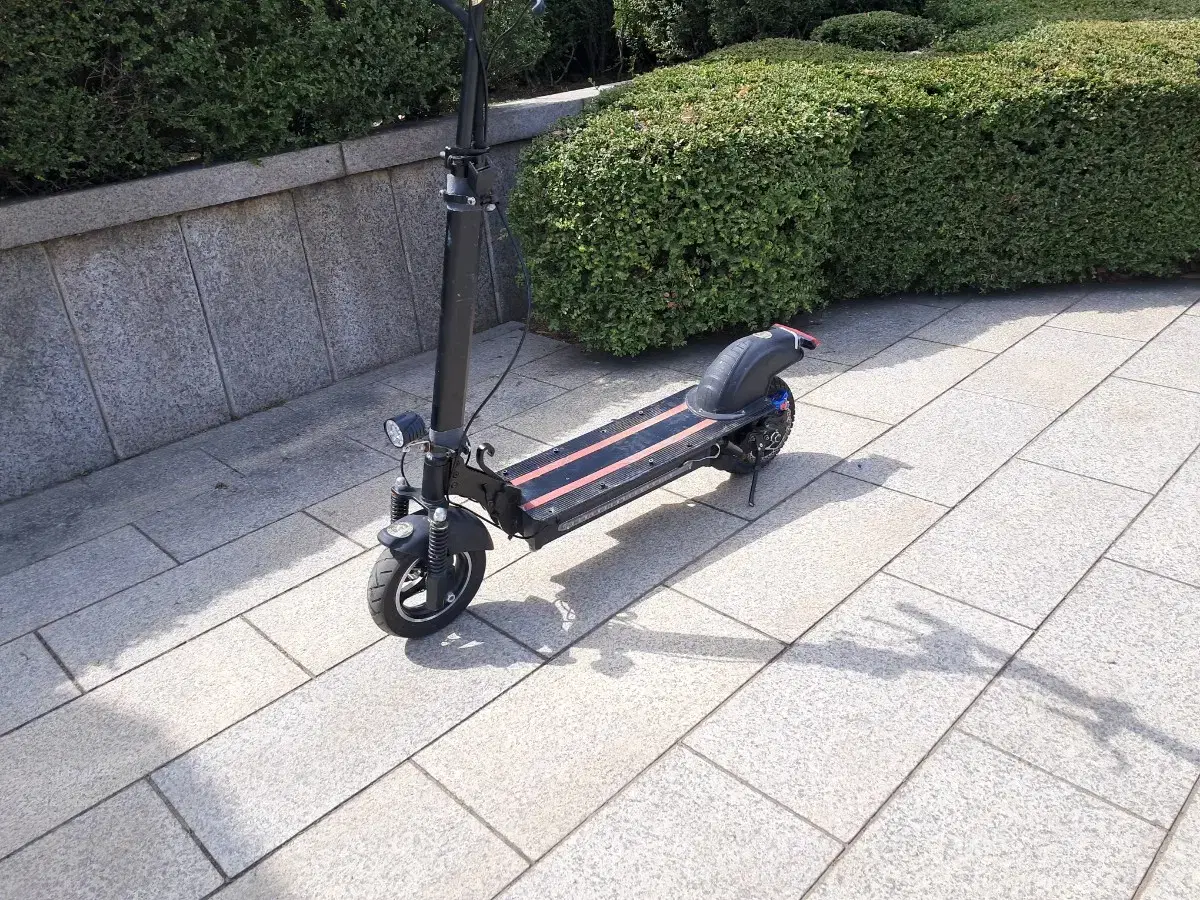 High Speed Scooter Kangaroo