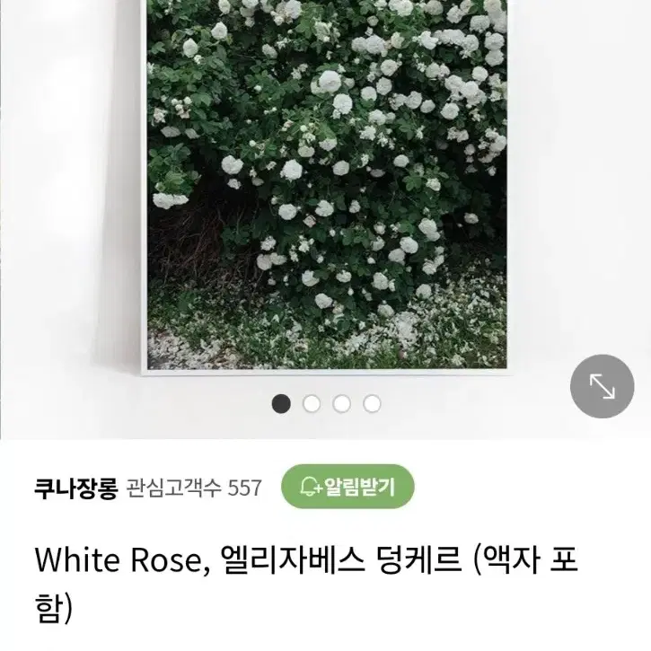 엘리자베스 덩케르 Rose 액자 2종