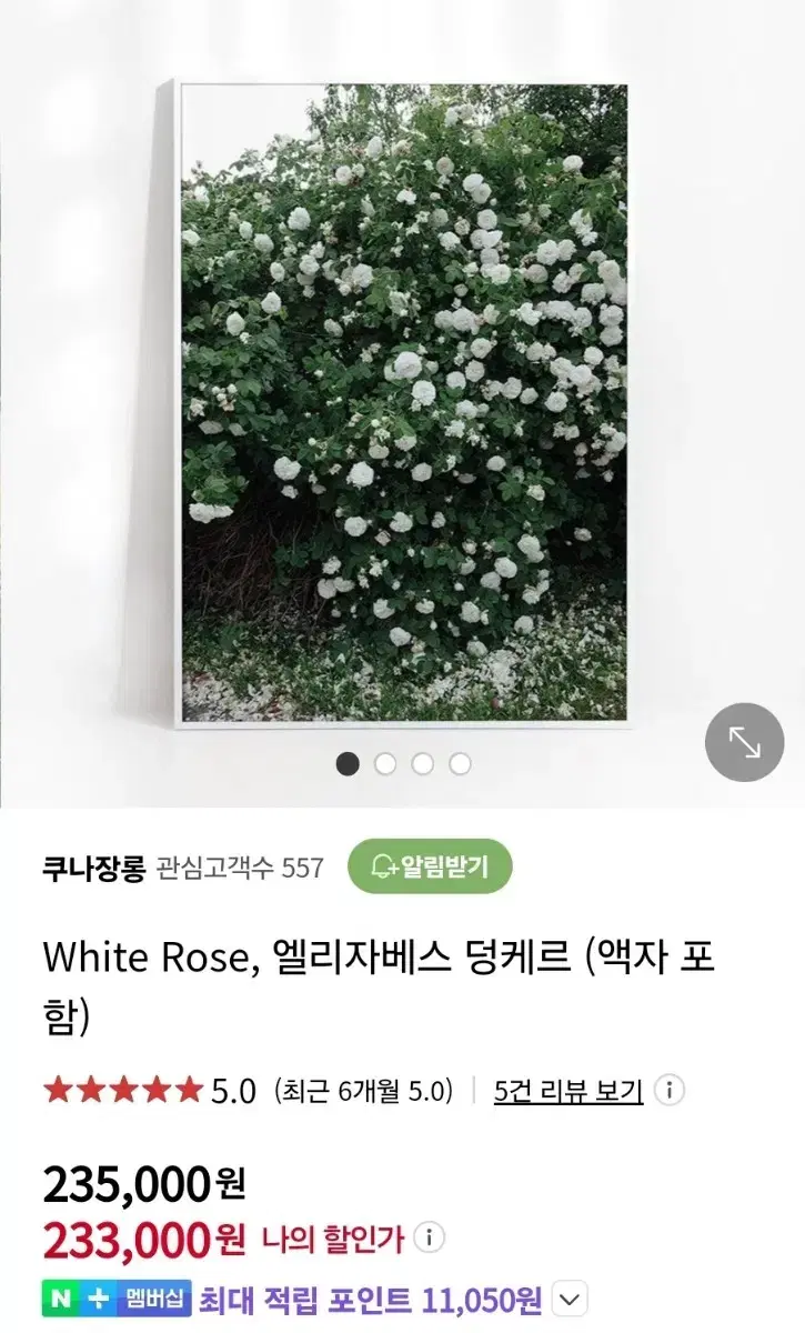 엘리자베스 덩케르 Rose 액자 2종