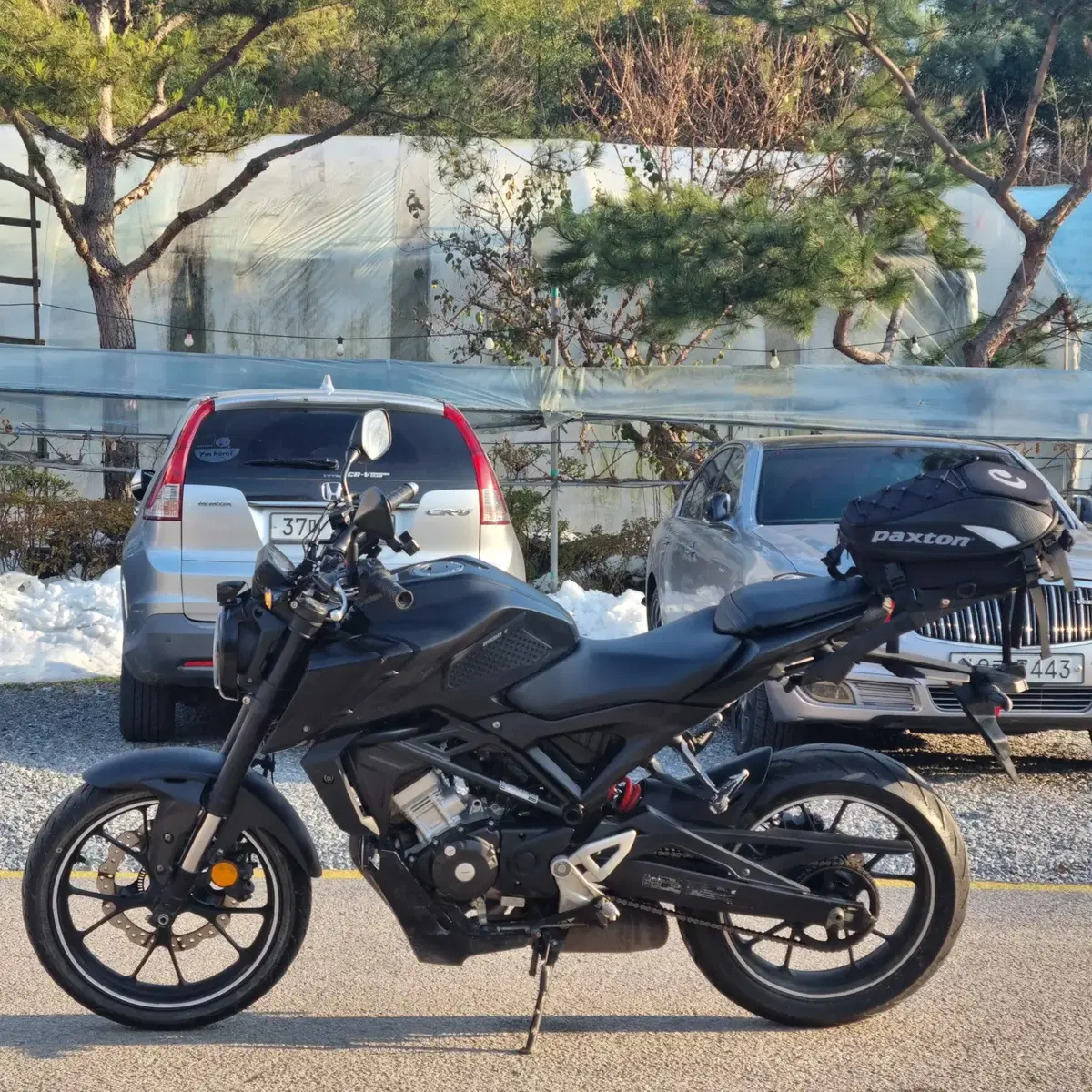 최저가)혼다 cb125r 19년식 컨디션좋은바이크 저렴하게 판매합니다.