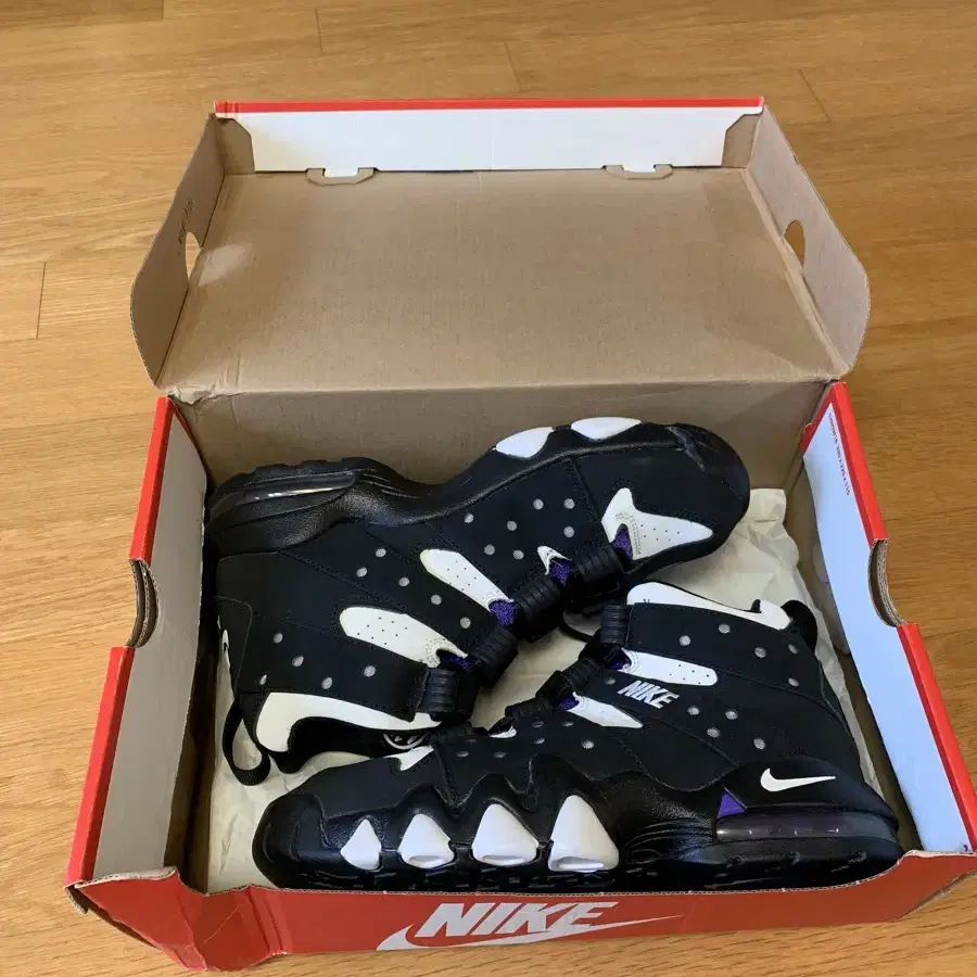 AIR MAX CB 94 (GS) 250