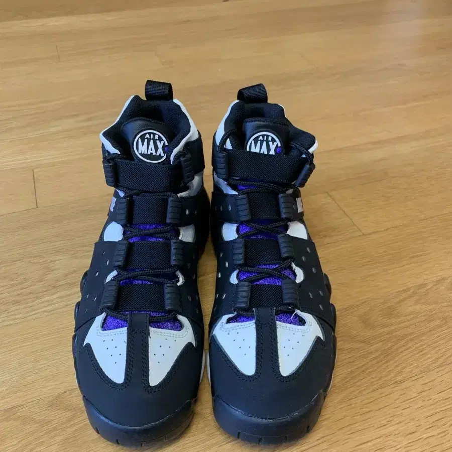 AIR MAX CB 94 (GS) 250